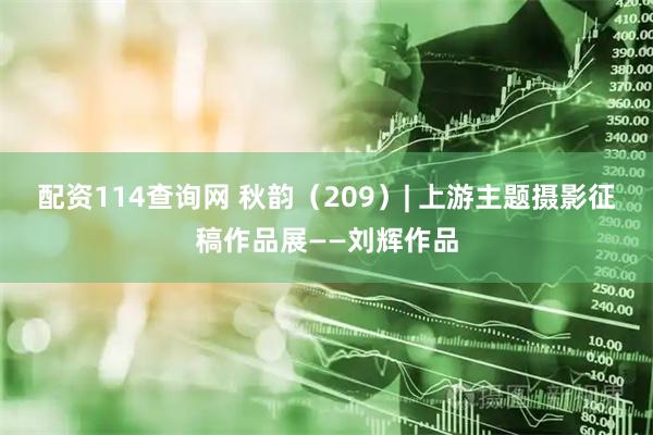 配资114查询网 秋韵（209）| 上游主题摄影征稿作品展——刘辉作品